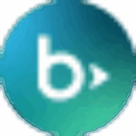 Blackbaud Luminate Online logo